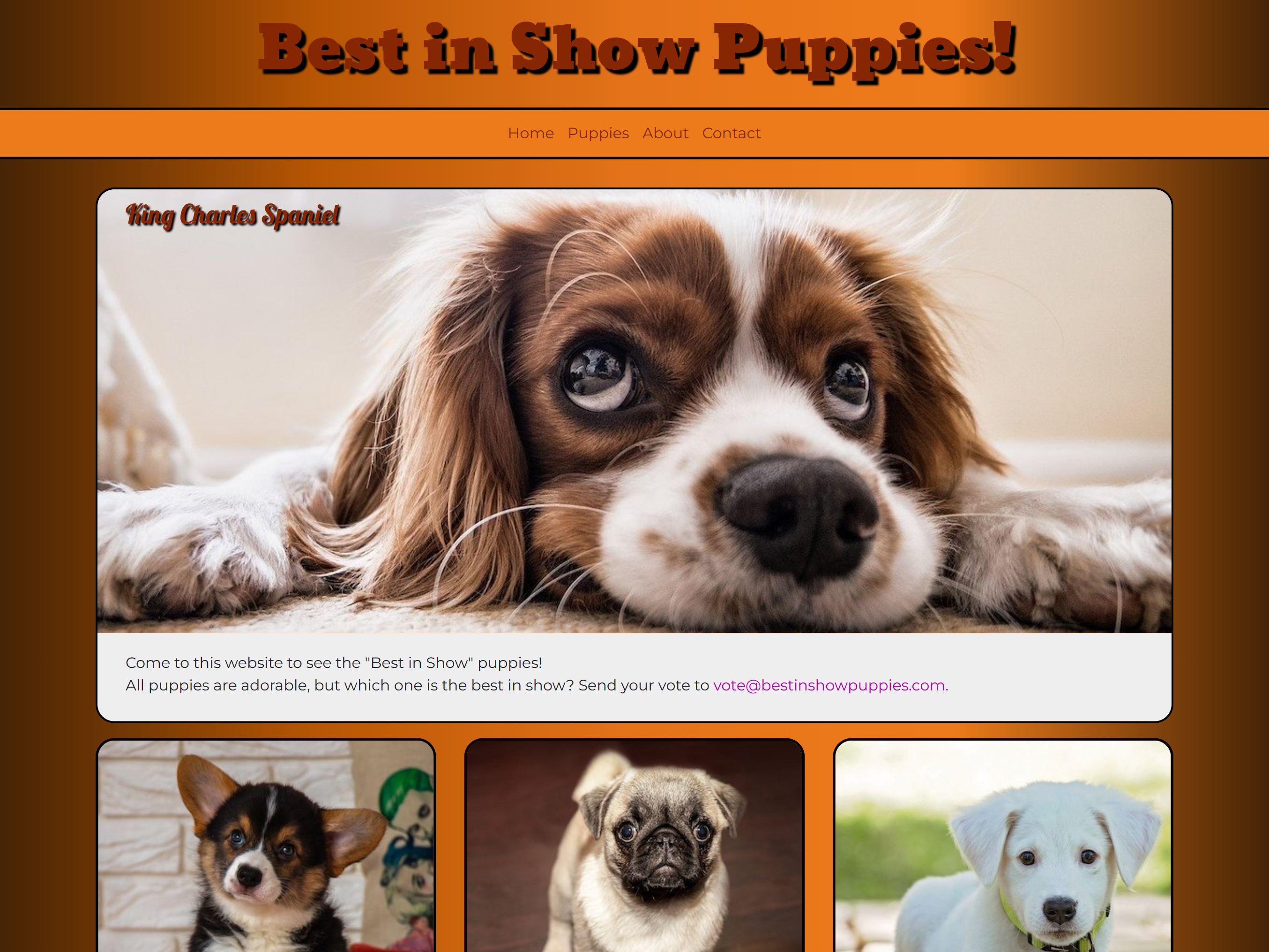 Beautiful website made by Kaidan's Web Designs displaying the abilty to use bootsrap columns by setting up nice pictures of cute puppies in a column.